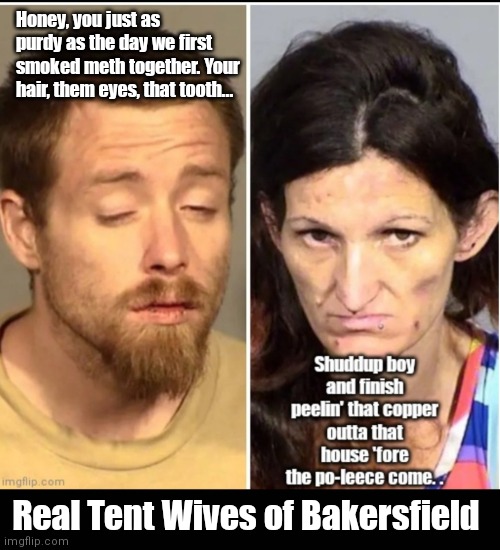 Real Tent Wives if Bakersfield | Honey, you just as purdy as the day we first smoked meth together. Your hair, them eyes, that tooth... Real Tent Wives of Bakersfield | image tagged in funny | made w/ Imgflip meme maker