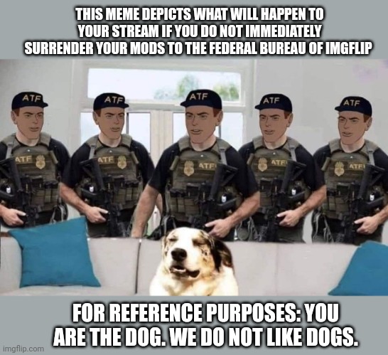 Surrender civilians | THIS MEME DEPICTS WHAT WILL HAPPEN TO YOUR STREAM IF YOU DO NOT IMMEDIATELY SURRENDER YOUR MODS TO THE FEDERAL BUREAU OF IMGFLIP; FOR REFERENCE PURPOSES: YOU ARE THE DOG. WE DO NOT LIKE DOGS. | image tagged in why is the fbi here | made w/ Imgflip meme maker