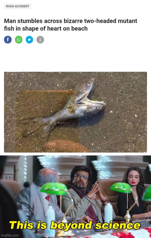 Two-headed mutant fish | image tagged in this is beyond science,fishes,two-headed,fish,science,memes | made w/ Imgflip meme maker