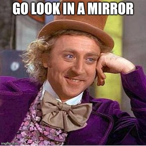 Tell me more mirrored | GO LOOK IN A MIRROR | image tagged in tell me more mirrored | made w/ Imgflip meme maker