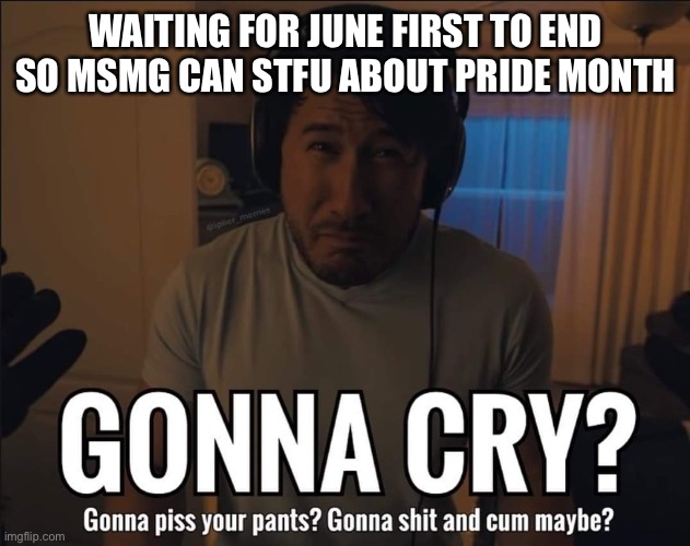 Kill me | WAITING FOR JUNE FIRST TO END SO MSMG CAN STFU ABOUT PRIDE MONTH | image tagged in gonna cry | made w/ Imgflip meme maker