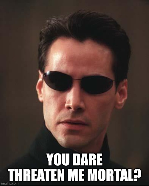 Neo Matrix Keanu Reeves | YOU DARE THREATEN ME MORTAL? | image tagged in neo matrix keanu reeves | made w/ Imgflip meme maker