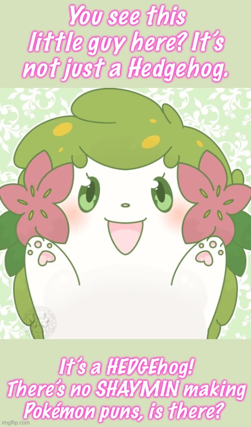 I’m Sorry, I Had Too, Because…WYNAUT? Ok, But Seriously I’m Done Now… | You see this little guy here? It’s not just a Hedgehog. It’s a HEDGEhog! There’s no SHAYMIN making Pokémon puns, is there? | made w/ Imgflip meme maker