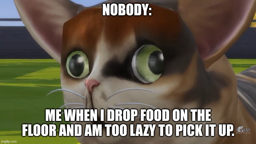floor food | NOBODY:; ME WHEN I DROP FOOD ON THE FLOOR AND AM TOO LAZY TO PICK IT UP. | image tagged in spleens the cat | made w/ Imgflip meme maker