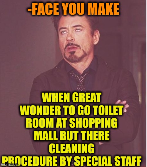 -Please, not in pants! |  WHEN GREAT WONDER TO GO TOILET ROOM AT SHOPPING MALL BUT THERE CLEANING PROCEDURE BY SPECIAL STAFF; -FACE YOU MAKE | image tagged in memes,face you make robert downey jr,toilet humor,girls poop too,cleaning,staff | made w/ Imgflip meme maker