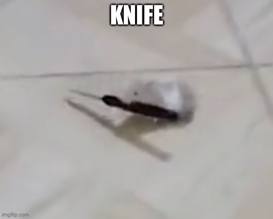 KNIFE | made w/ Imgflip meme maker