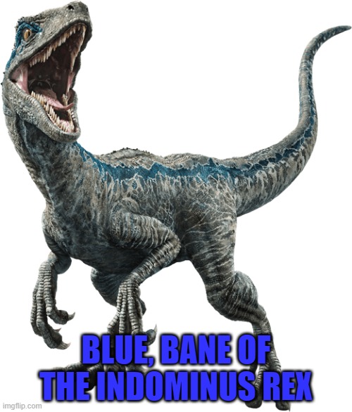 Fear not, Blue has arrived | BLUE, BANE OF THE INDOMINUS REX | image tagged in blue,velociraptor | made w/ Imgflip meme maker