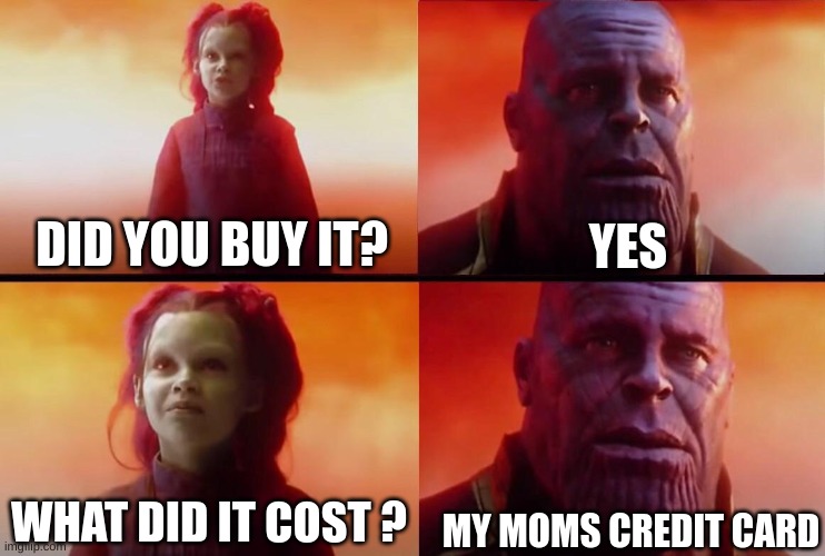 What did it cost? | YES; DID YOU BUY IT? MY MOMS CREDIT CARD; WHAT DID IT COST ? | image tagged in what did it cost | made w/ Imgflip meme maker