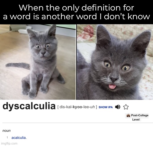 The More I Know… | When the only definition for a word is another word I don’t know | image tagged in funny memes,language,dictionary | made w/ Imgflip meme maker