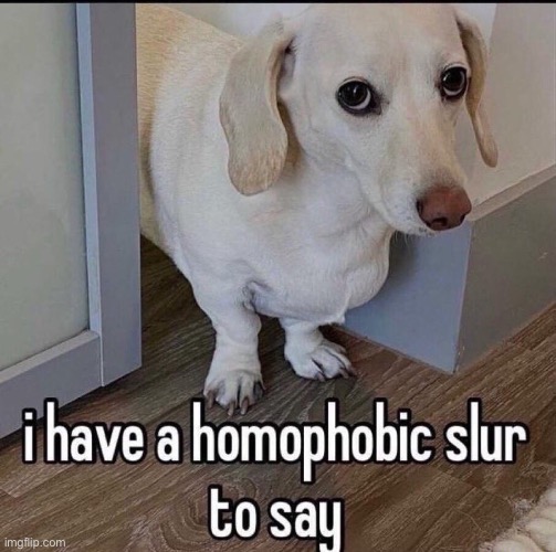 I have a homophobic slur to say | image tagged in yes | made w/ Imgflip meme maker