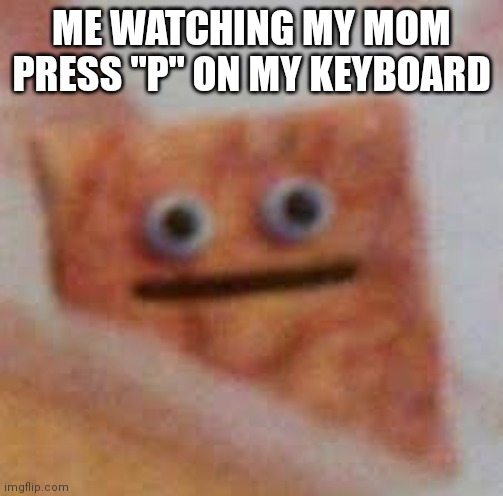 No mom don't! | ME WATCHING MY MOM PRESS "P" ON MY KEYBOARD | image tagged in cinnamon toast uhhhhh | made w/ Imgflip meme maker