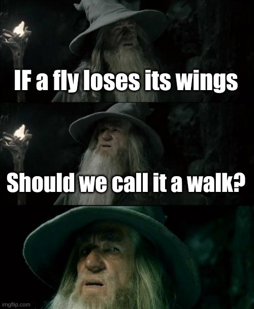 AHHHHHHHHHHHHHHHHHHHHHHHHHHHHhhhhhh |  IF a fly loses its wings; Should we call it a walk? | image tagged in memes,confused gandalf | made w/ Imgflip meme maker