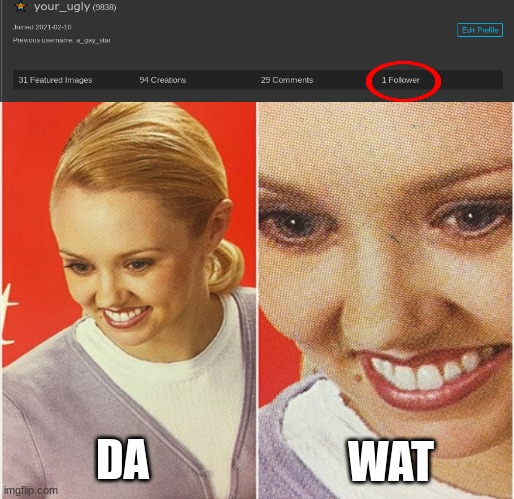 I have a follower?! | WAT; DA | image tagged in wait what | made w/ Imgflip meme maker