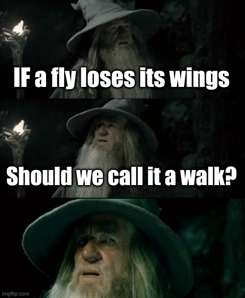 TOO MUCH KNOWLEDGE | IF a fly loses its wings; Should we call it a walk? | image tagged in memes,confused gandalf | made w/ Imgflip meme maker