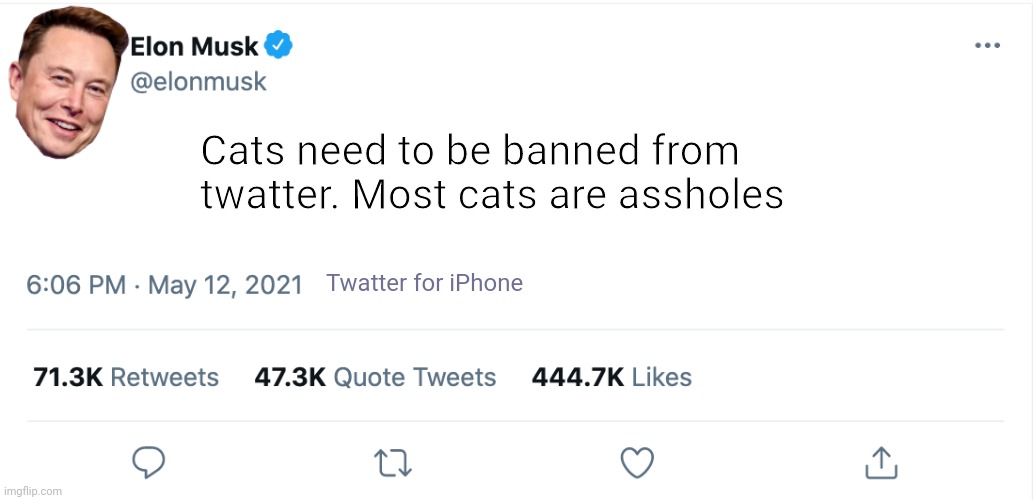 Elon Musk Blank Tweet | Cats need to be banned from twatter. Most cats are assholes Twatter for iPhone | image tagged in elon musk blank tweet | made w/ Imgflip meme maker