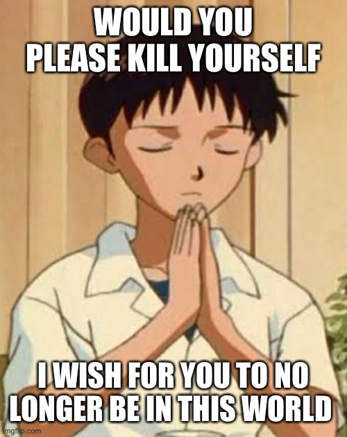 Mod made title | WOULD YOU PLEASE KILL YOURSELF; I WISH FOR YOU TO NO LONGER BE IN THIS WORLD | image tagged in shinji pray | made w/ Imgflip meme maker