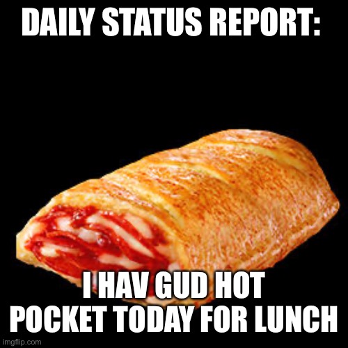 I dropped my hot pocket | DAILY STATUS REPORT:; I HAV GUD HOT POCKET TODAY FOR LUNCH | image tagged in daily,status,report | made w/ Imgflip meme maker