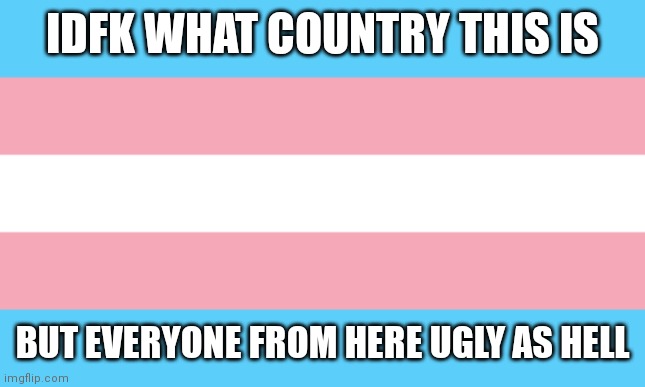 Trans Flag | IDFK WHAT COUNTRY THIS IS; BUT EVERYONE FROM HERE UGLY AS HELL | image tagged in trans flag | made w/ Imgflip meme maker