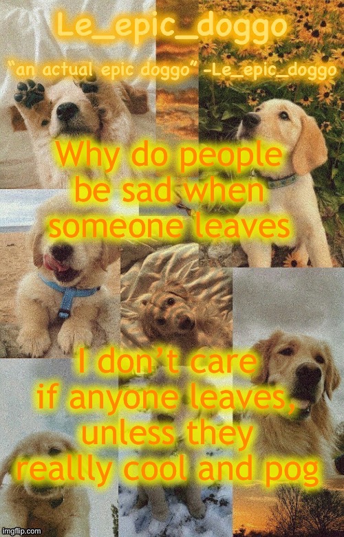 Doggo temp by doggo. Wait what that’s confusing | Why do people be sad when someone leaves; I don’t care if anyone leaves, unless they reallly cool and pog | image tagged in doggo temp by doggo wait what that s confusing | made w/ Imgflip meme maker