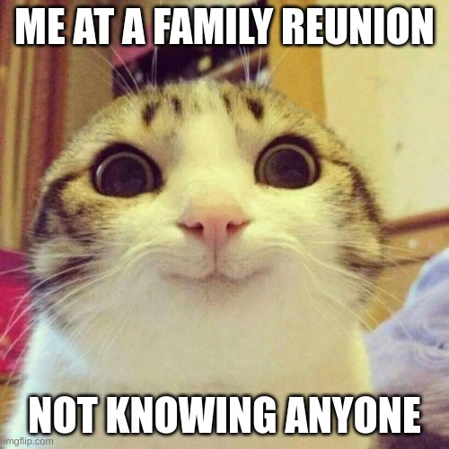 Smiling Cat Meme | ME AT A FAMILY REUNION; NOT KNOWING ANYONE | image tagged in memes,smiling cat | made w/ Imgflip meme maker