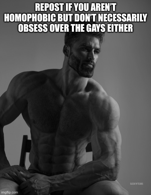 Giga Chad | REPOST IF YOU AREN’T HOMOPHOBIC BUT DON’T NECESSARILY OBSESS OVER THE GAYS EITHER | image tagged in giga chad | made w/ Imgflip meme maker