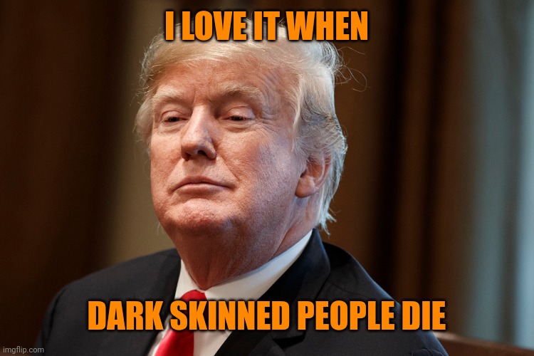 I LOVE IT WHEN DARK SKINNED PEOPLE DIE | image tagged in trump | made w/ Imgflip meme maker