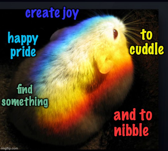 Rainbow hamster runs for Pride -- and Joy | create joy; to cuddle; happy pride; find something; and to nibble | image tagged in rainbow hamster,pride,happiness,joy,gay pride | made w/ Imgflip meme maker