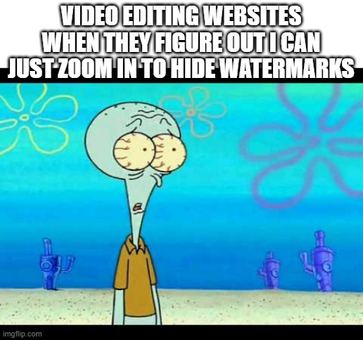 Squidward Face | VIDEO EDITING WEBSITES WHEN THEY FIGURE OUT I CAN JUST ZOOM IN TO HIDE WATERMARKS | image tagged in squidward face | made w/ Imgflip meme maker