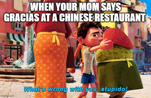 This is true, admit it | WHEN YOUR MOM SAYS GRACIAS AT A CHINESE RESTAURANT | image tagged in what wrong with you stupido | made w/ Imgflip meme maker