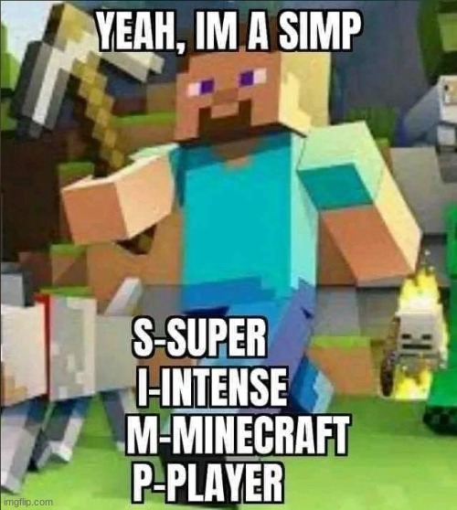 simp | image tagged in simp,minecraft,lol,idk | made w/ Imgflip meme maker