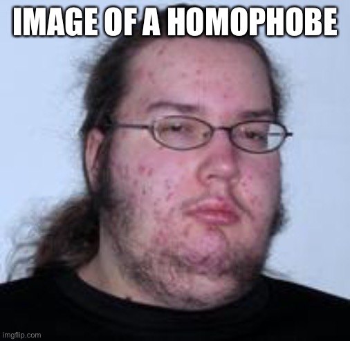 neckbeard | IMAGE OF A HOMOPHOBE | image tagged in neckbeard | made w/ Imgflip meme maker