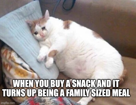 Chubby | WHEN YOU BUY A SNACK AND IT TURNS UP BEING A FAMILY SIZED MEAL | image tagged in fat cat crying | made w/ Imgflip meme maker