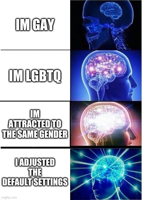 Expanding Brain Meme | IM GAY; IM LGBTQ; IM ATTRACTED TO THE SAME GENDER; I ADJUSTED THE DEFAULT SETTINGS | image tagged in memes,expanding brain | made w/ Imgflip meme maker