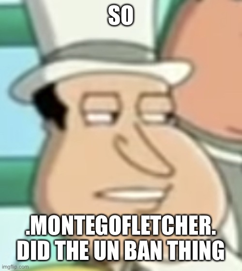 disappointed Quagmire | SO; .MONTEGOFLETCHER. DID THE UN BAN THING | image tagged in disappointed quagmire | made w/ Imgflip meme maker
