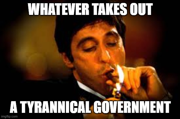 Al Pacino cigar | WHATEVER TAKES OUT A TYRANNICAL GOVERNMENT | image tagged in al pacino cigar | made w/ Imgflip meme maker