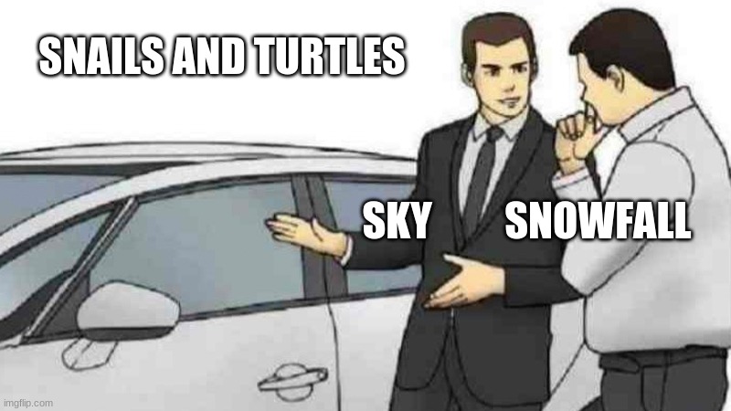 Car Salesman Slaps Roof Of Car Meme | SNAILS AND TURTLES; SKY         SNOWFALL | image tagged in memes,car salesman slaps roof of car | made w/ Imgflip meme maker