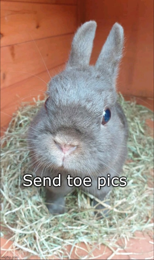 Send toe pics | made w/ Imgflip meme maker