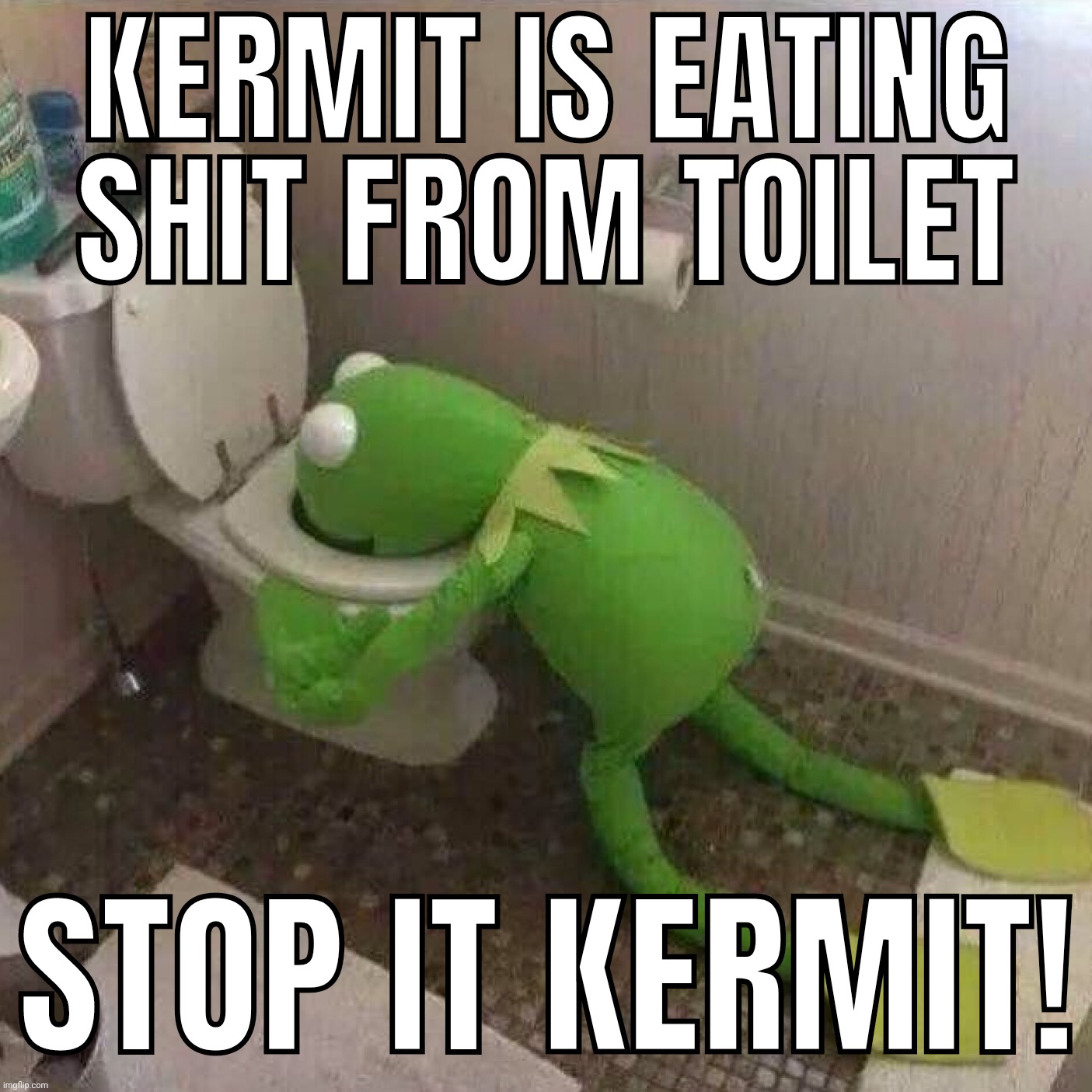 Kermit Throwing Up | KERMIT IS EATING SHIT FROM TOILET; STOP IT KERMIT! | image tagged in kermit throwing up | made w/ Imgflip meme maker