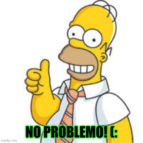 homer no problemo | NO PROBLEMO! (: | image tagged in homer no problemo | made w/ Imgflip meme maker