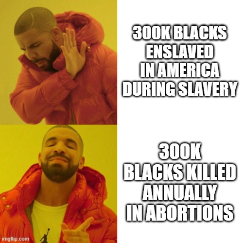 Drake Blank |  300K BLACKS ENSLAVED IN AMERICA DURING SLAVERY; 300K BLACKS KILLED ANNUALLY IN ABORTIONS | image tagged in drake blank | made w/ Imgflip meme maker