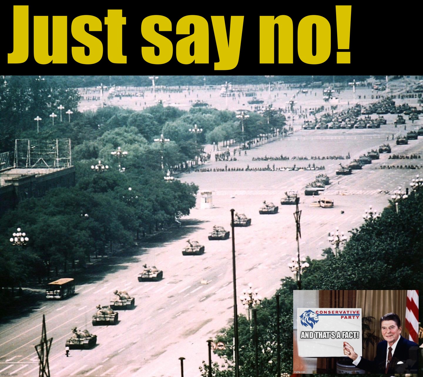 Standing up to the tank invasion is simple. If this guy can do it, so can you! #TankmanStrong | Just say no! | image tagged in just,say,no,to,tanks,conservative party | made w/ Imgflip meme maker