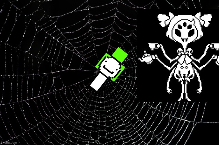 Spider Web | image tagged in spider web | made w/ Imgflip meme maker