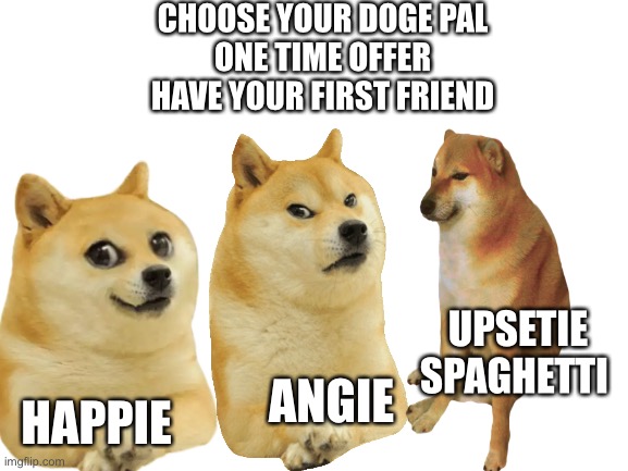 ONE TIME OFFER | CHOOSE YOUR DOGE PAL
ONE TIME OFFER
HAVE YOUR FIRST FRIEND; UPSETIE SPAGHETTI; ANGIE; HAPPIE | image tagged in blank white template | made w/ Imgflip meme maker