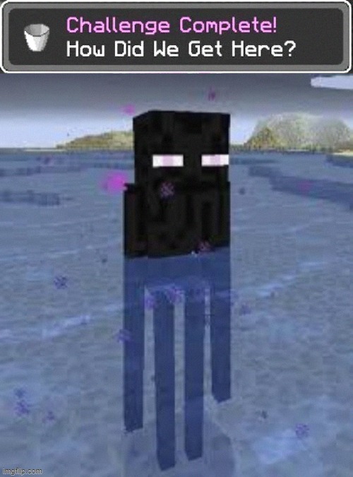 image tagged in how did we get here,cursed enderman,minecraft | made w/ Imgflip meme maker