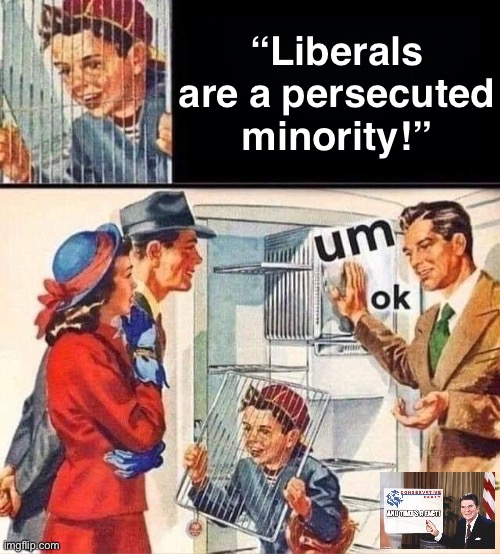 Lol poor kid! | “Liberals are a persecuted minority!” | image tagged in this,is,what,liberals,actually,believe | made w/ Imgflip meme maker