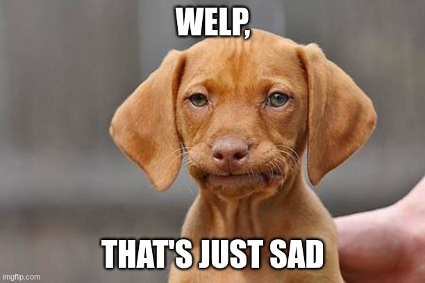 Dissapointed puppy | WELP, THAT'S JUST SAD | image tagged in dissapointed puppy | made w/ Imgflip meme maker