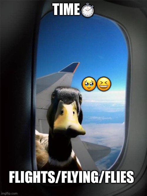 Time flies |  TIME⏱; 🥹😆; FLIGHTS/FLYING/FLIES | image tagged in let me in duck | made w/ Imgflip meme maker