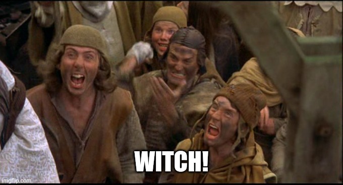 Monty Python witch | WITCH! | image tagged in monty python witch | made w/ Imgflip meme maker