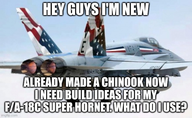 any Ideas? |  HEY GUYS I'M NEW; ALREADY MADE A CHINOOK NOW I NEED BUILD IDEAS FOR MY F/A-18C SUPER HORNET. WHAT DO I USE? | image tagged in f-18,ideas,plane,lego | made w/ Imgflip meme maker