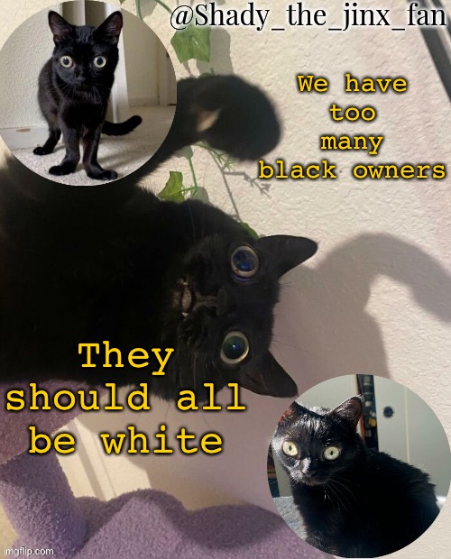 /hj | We have too many black owners; They should all be white | image tagged in shady s jinx temp once agaun thanks ishowsun | made w/ Imgflip meme maker